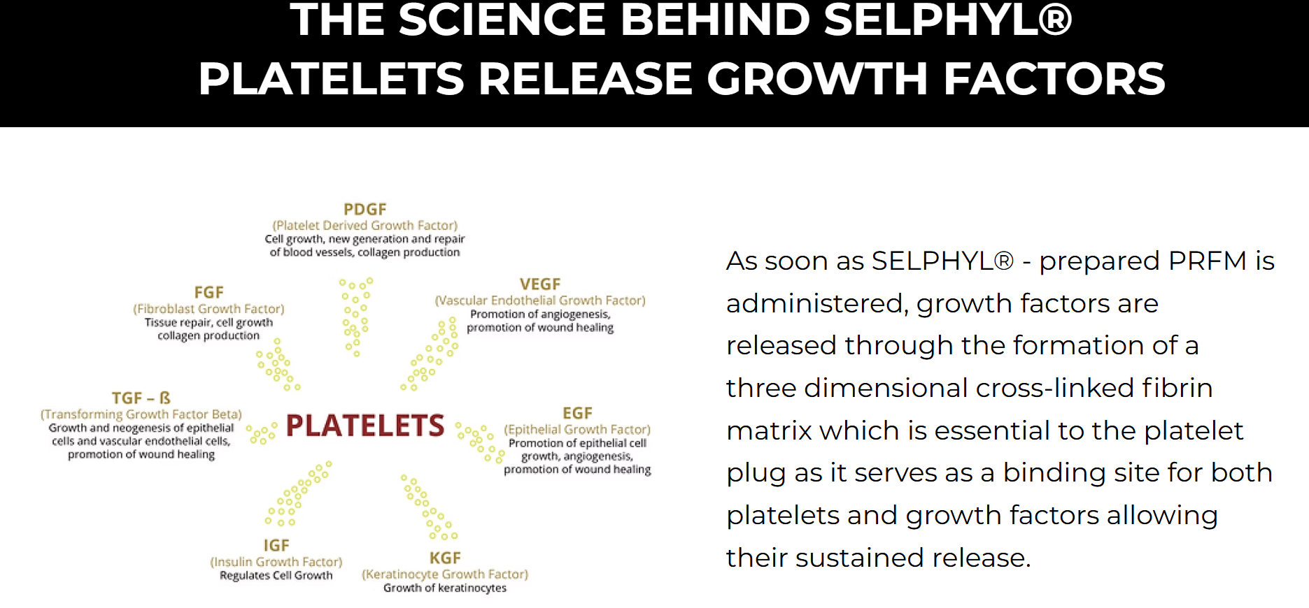 Selphyl Science Mechanism