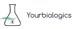Yourbiologics